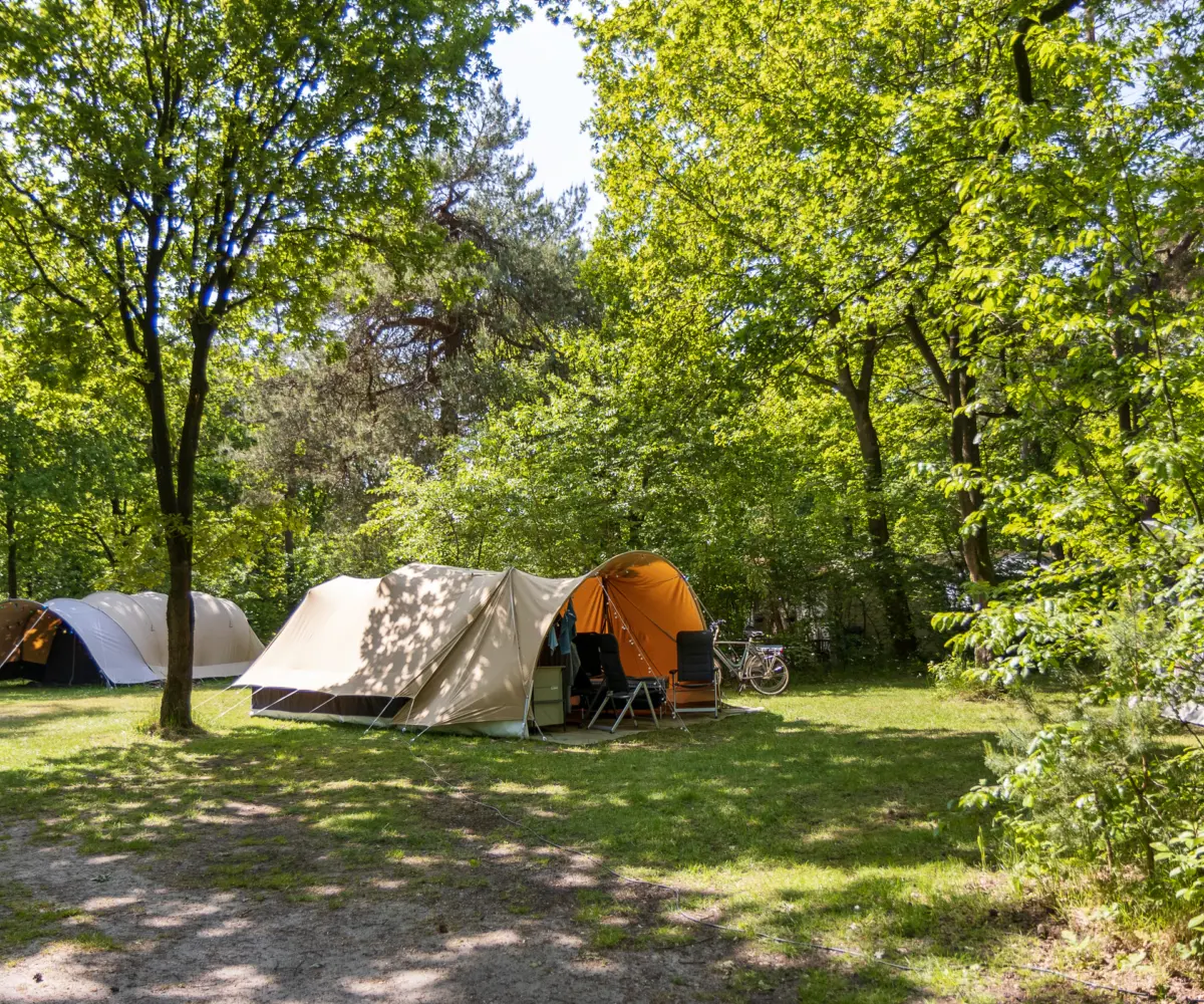 Campingstellplatz in Drenthe