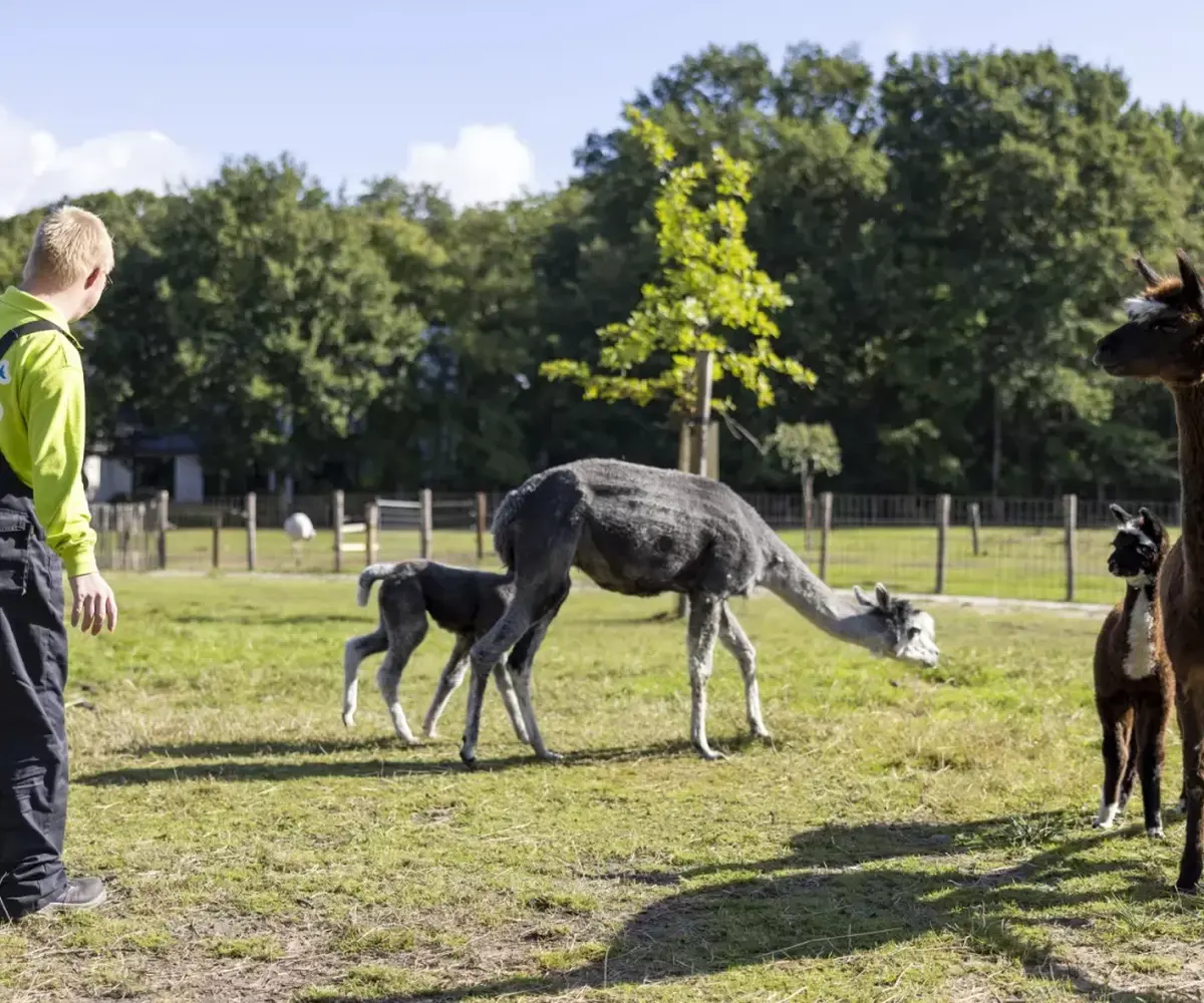 Kinderboerderij Samenzoo