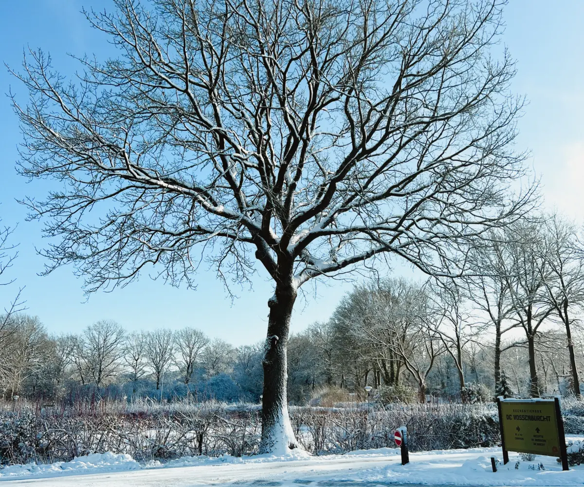 Magische Ruhe beim Wintercamping in Holland